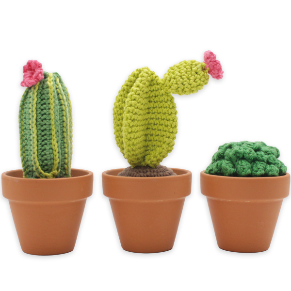DIY Haakpakket - Cactussen
